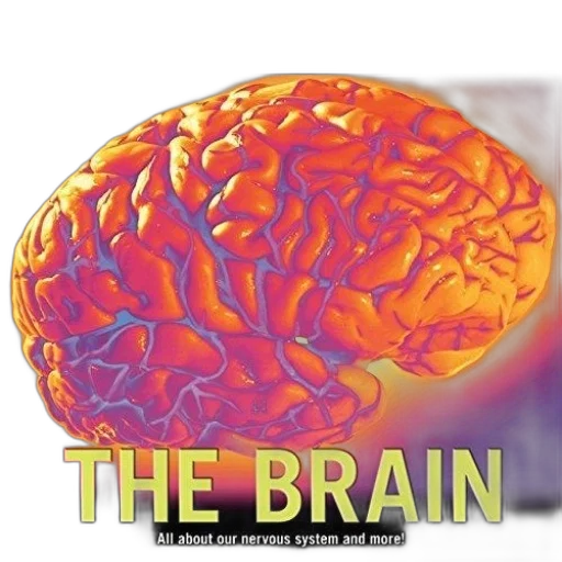 crown, brain, all, about transparent PNG cut-out