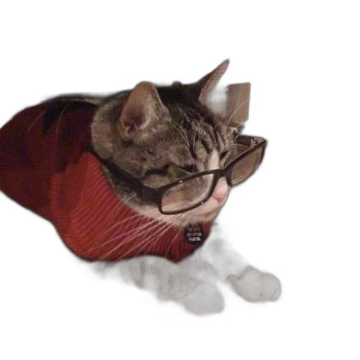 jacket, staff, animal, creature transparent PNG cut-out