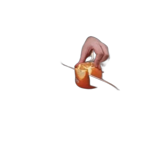 food, weapon, hair, animal transparent PNG cut-out