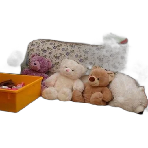 furniture, cozy, scene, various transparent PNG cut-out
