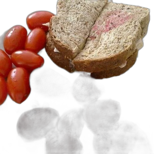 food, animal, jacket, creature transparent PNG cut-out