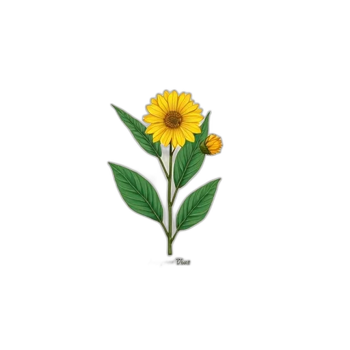 flower, staff, crown, weapon transparent PNG cut-out