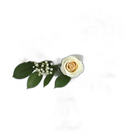 flower, crown, jewelry, staff transparent PNG cut-out
