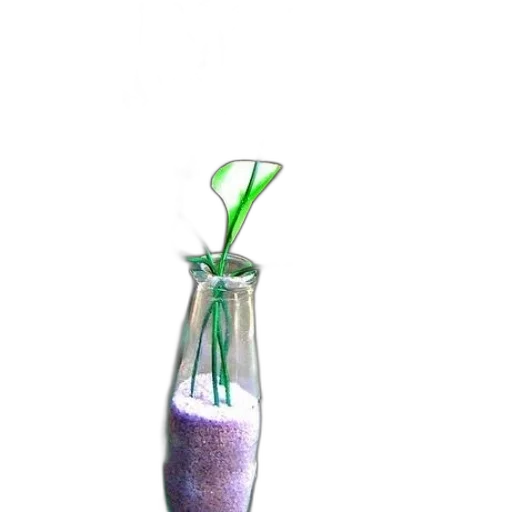 bottle, staff, weapon, flower transparent PNG cut-out