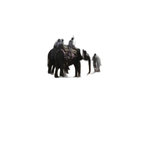 animal, creature, weapon, staff transparent PNG cut-out