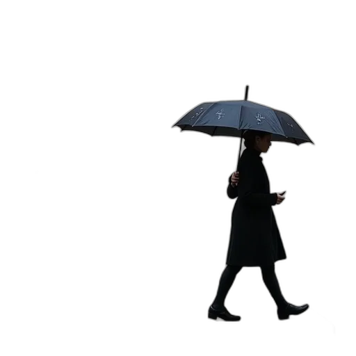 umbrella, jacket, staff, dress transparent PNG cut-out