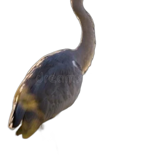 animal, creature, dragon, staff transparent PNG cut-out