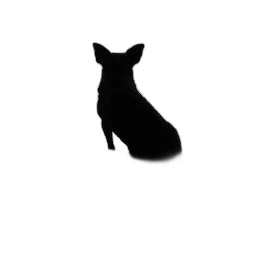 animal, staff, hat, creature transparent PNG cut-out