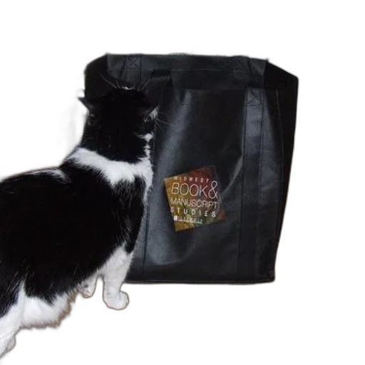 staff, black, white, cat transparent PNG cut-out