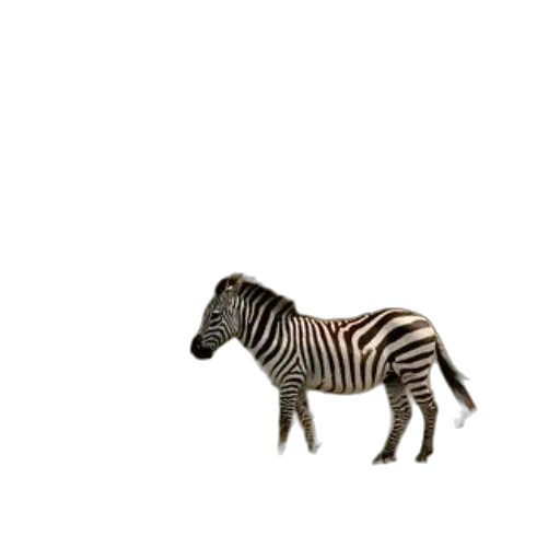animal, creature, furniture, jewelry transparent PNG cut-out