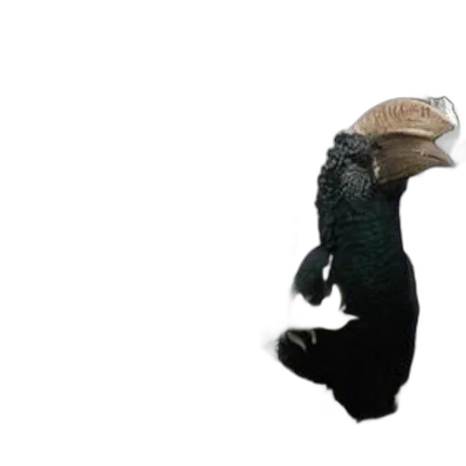 dragon, animal, creature, hat transparent PNG cut-out