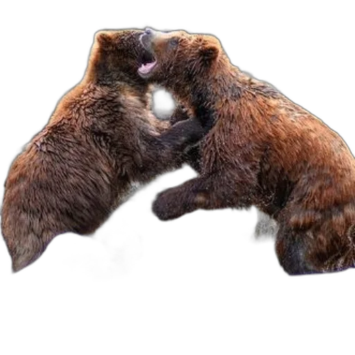 animal, creature, hair, weapon transparent PNG cut-out
