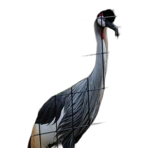 animal, staff, jewelry, creature transparent PNG cut-out
