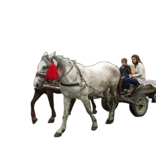 car, animal, concept art, photorealistic transparent PNG cut-out