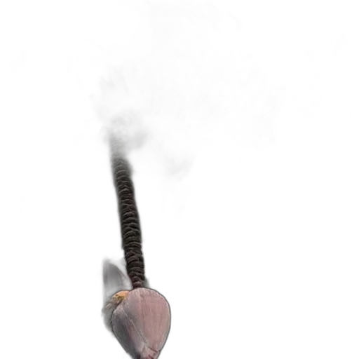 staff, weapon, sword, hair transparent PNG cut-out