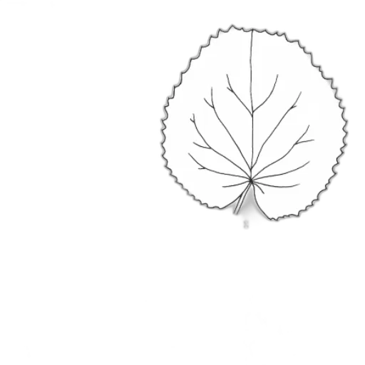 crown, flower, tree, umbrella transparent PNG cut-out