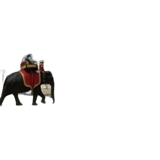animal, robot, hat, creature transparent PNG cut-out
