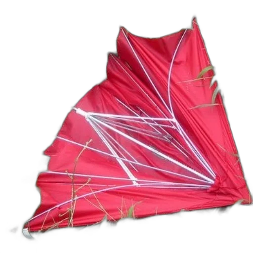 umbrella, jacket, crown, jewelry transparent PNG cut-out