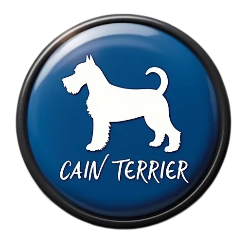 blue, button, white, dog transparent PNG cut-out
