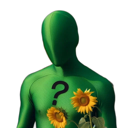 flower, mask, jacket, dress transparent PNG cut-out