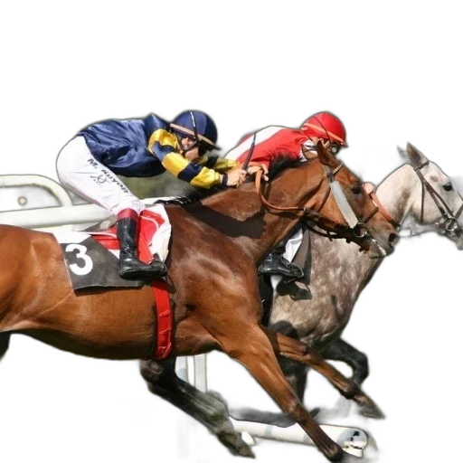 photorealistic, two, jockeys, horses transparent PNG cut-out