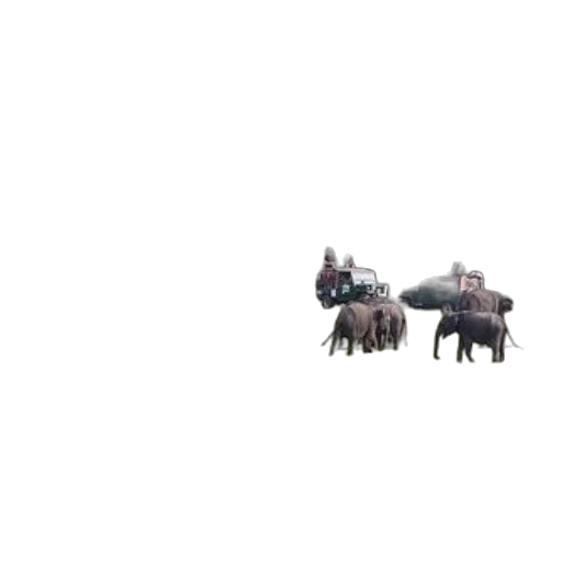 animal, dragon, car, creature transparent PNG cut-out