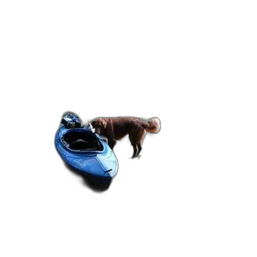 shoes, animal, bottle, umbrella transparent PNG cut-out