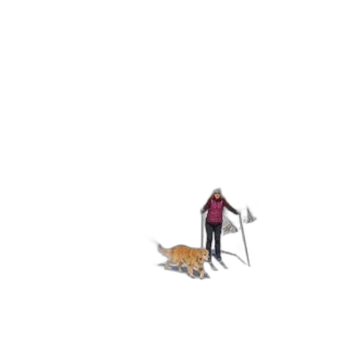 animal, creature, staff, weapon transparent PNG cut-out