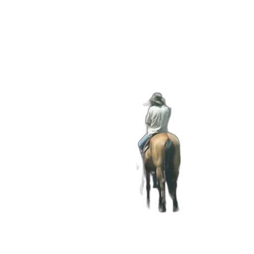 animal, jacket, hat, creature transparent PNG cut-out