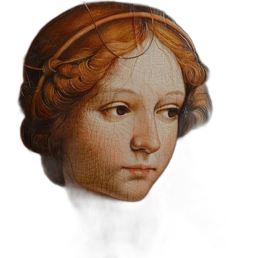 face, crown, mask, hair transparent PNG cut-out