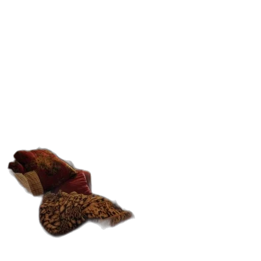 shoes, hat, animal, hair transparent PNG cut-out