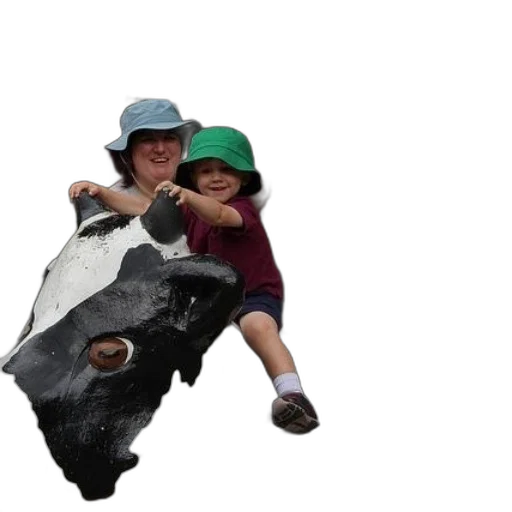 hat, animal, 3d render, photorealistic transparent PNG cut-out