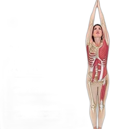 staff, dress, concept art, 3d render transparent PNG cut-out