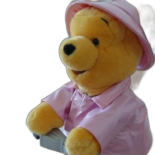 hat, staff, winnie, pooh transparent PNG cut-out