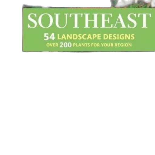 3d render, earth tones, green, book transparent PNG cut-out