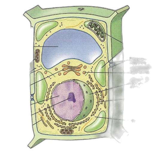 furniture, crown, jewelry, building transparent PNG cut-out