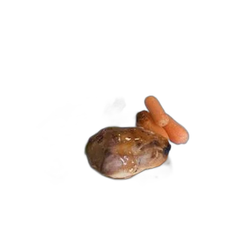 animal, creature, food, hat transparent PNG cut-out