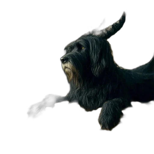 animal, dragon, creature, staff transparent PNG cut-out