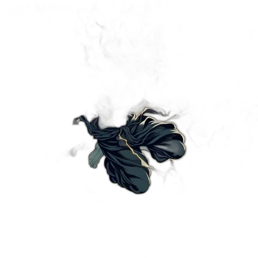 flower, jewelry, crown, jacket transparent PNG cut-out