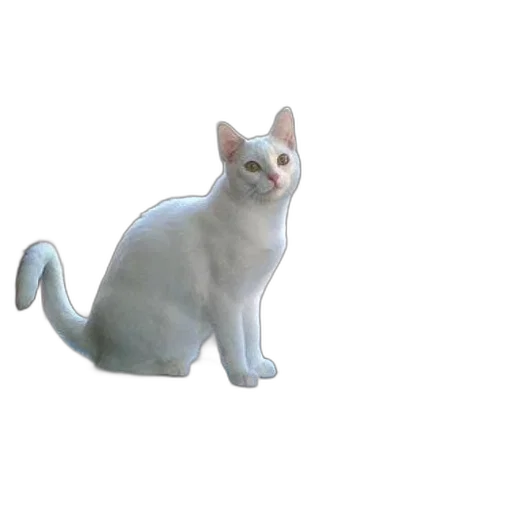 animal, creature, staff, robot transparent PNG cut-out