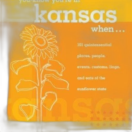 image, orange, poster, white transparent PNG cut-out