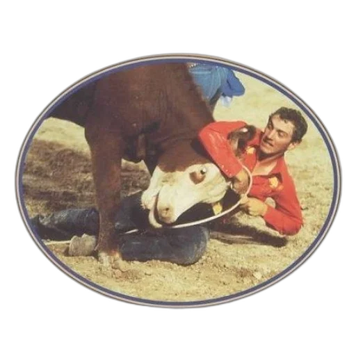 animal, staff, creature, jacket transparent PNG cut-out