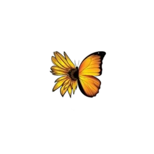 flower, animal, crown, creature transparent PNG cut-out