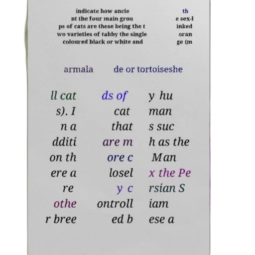 dress, image, text-based, description transparent PNG cut-out
