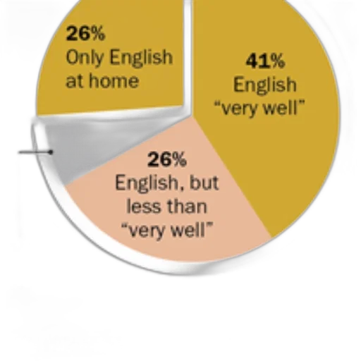 jewelry, pie, chart, showing transparent PNG cut-out