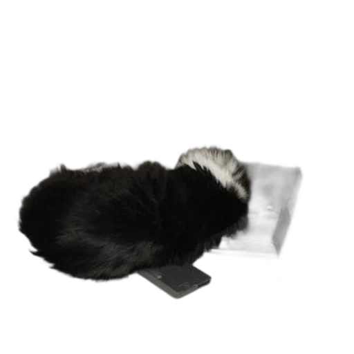 hat, animal, hair, staff transparent PNG cut-out