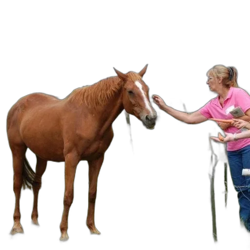animal, staff, photorealistic, woman transparent PNG cut-out