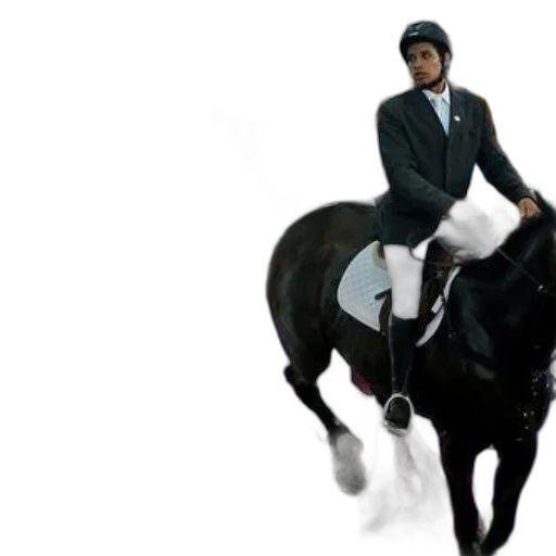 jacket, hat, animal, concept art transparent PNG cut-out