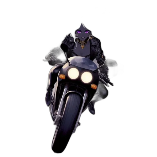 dragon, animal, creature, jacket transparent PNG cut-out