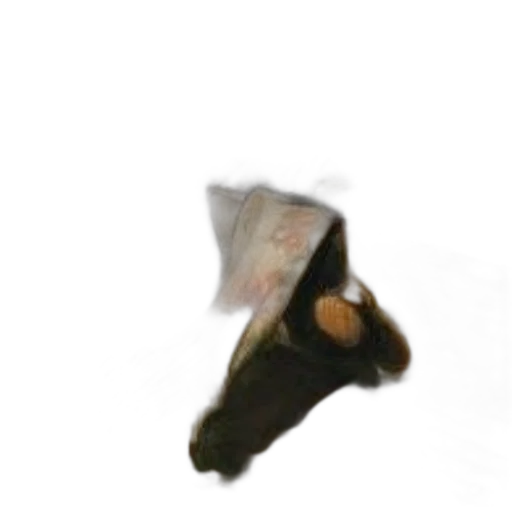 animal, creature, shoes, hat transparent PNG cut-out